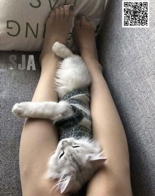 宝贝把腿张开我要添你下边动态图_1080日韩电影在线
